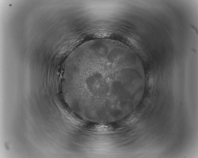 X0000102490315200808151502