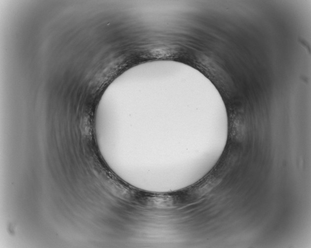 X0000102490317200808151502