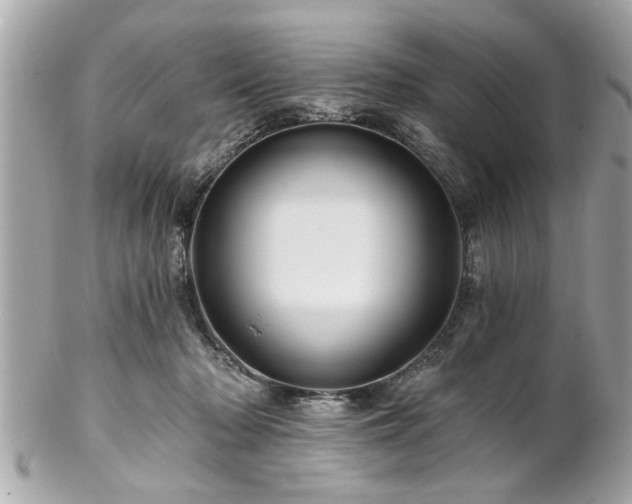 X0000102490318200808151502