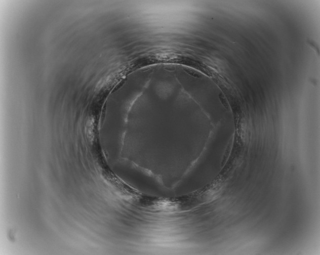 X0000102490319200808151502