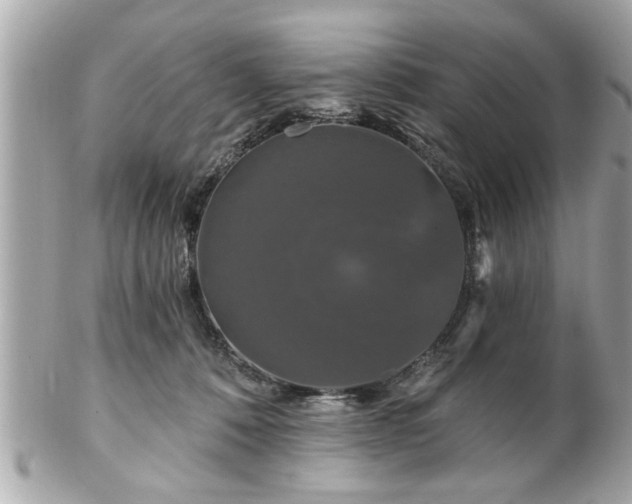 X0000102490320200808151502