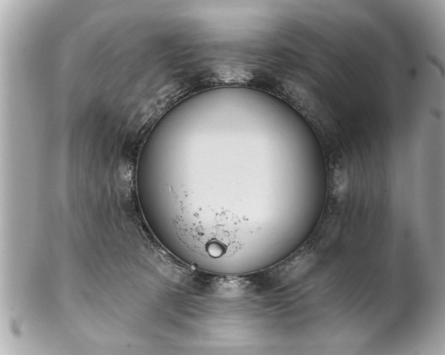 X0000102490321200808151502