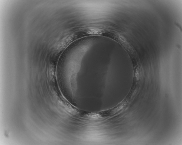 X0000102490322200808151502