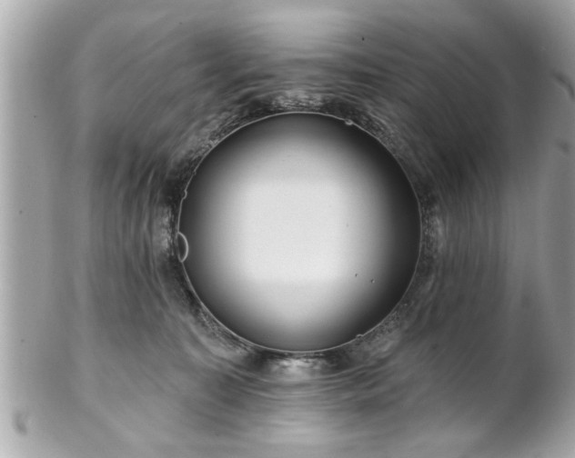 X0000102490323200808151502