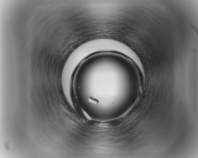 X0000102490324200808151502