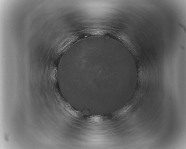 X0000102490325200808151502