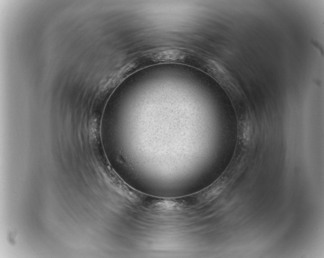 X0000102490326200808151502