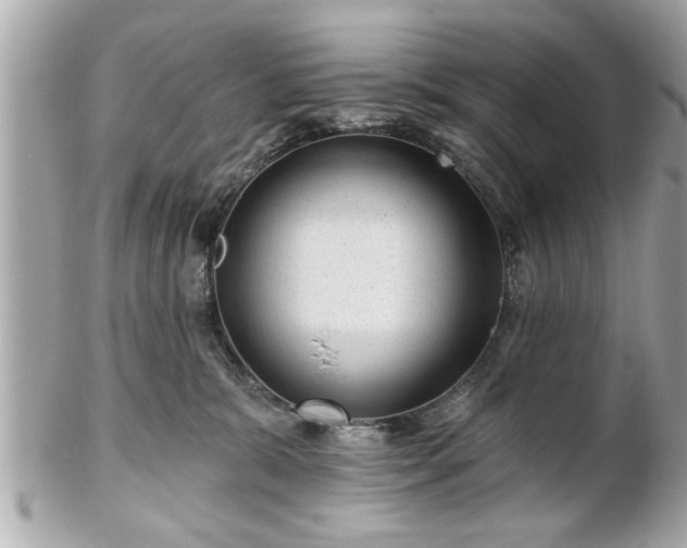 X0000102490327200808151502