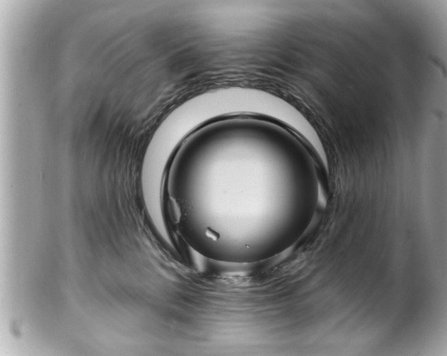 X0000102490328200808151502