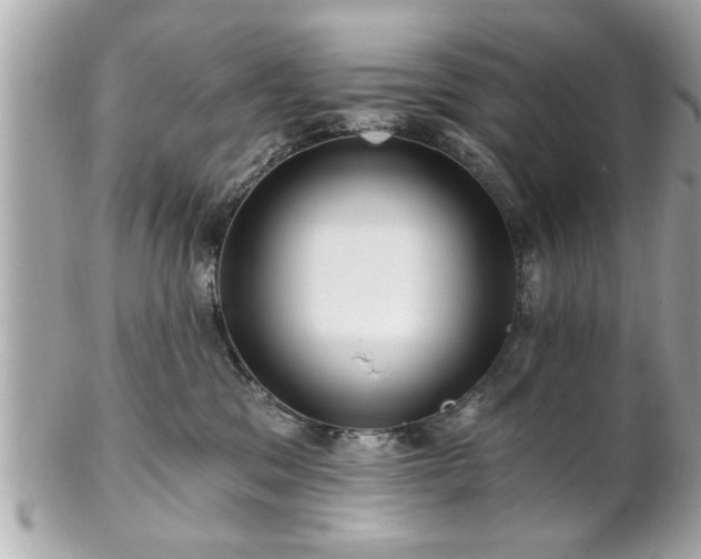 X0000102490329200808151502