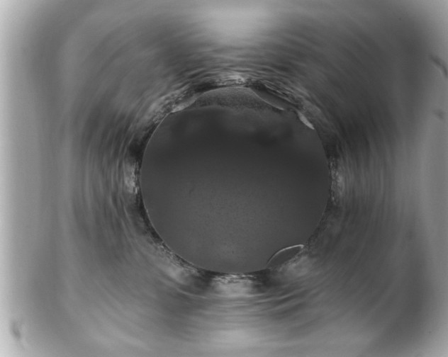 X0000102490331200808151502