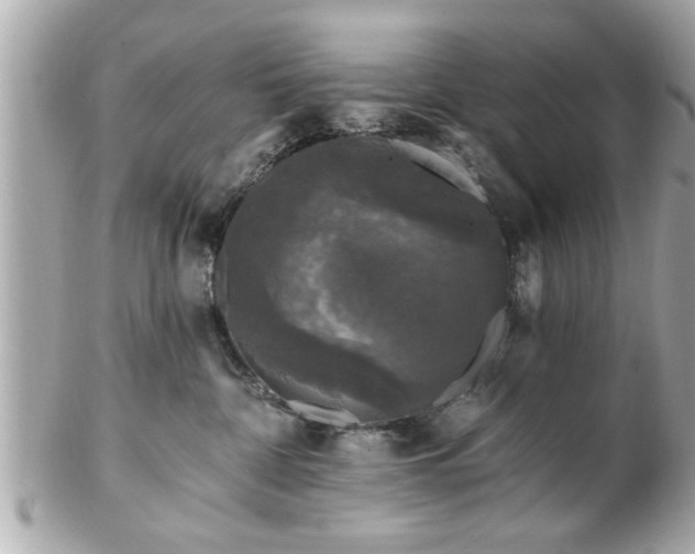 X0000102490332200808151502