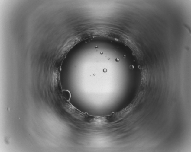 X0000102490333200808151502