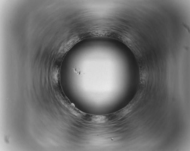 X0000102490334200808151502