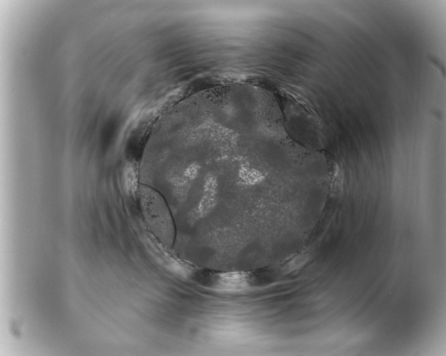 X0000102490335200808151502