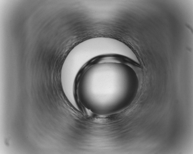 X0000102490336200808151502