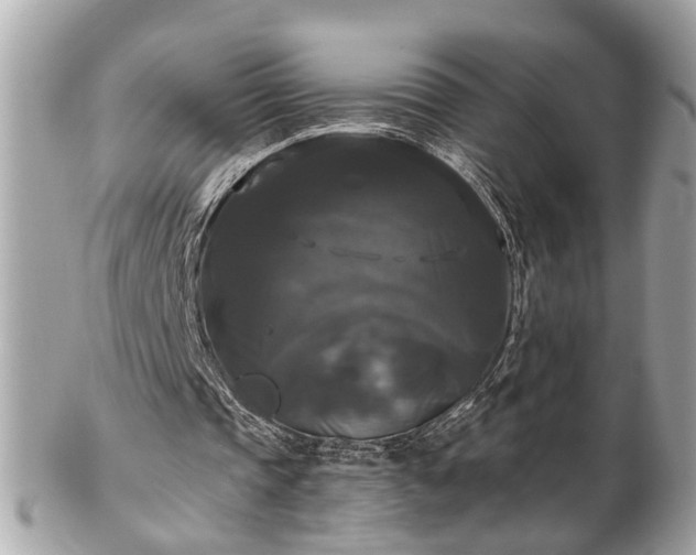 X0000102490337200808151501