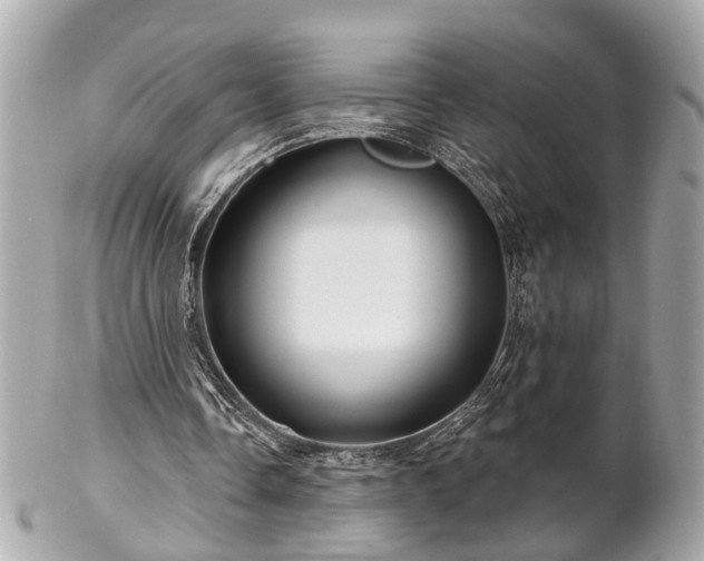 X0000102490338200808151501