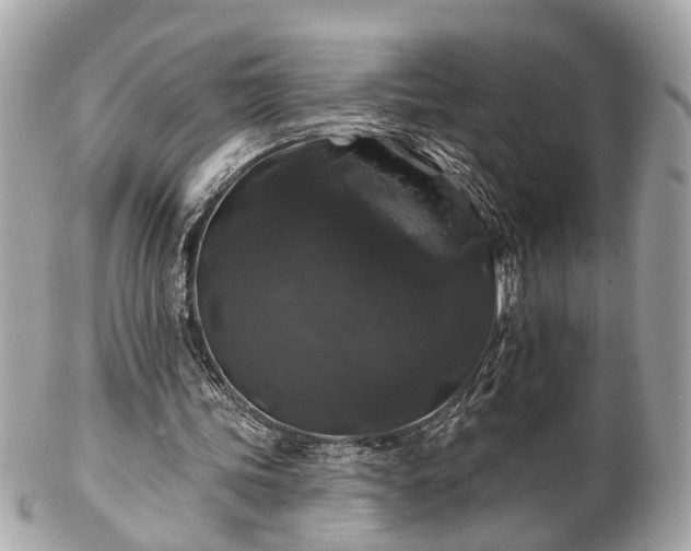 X0000102490339200808151501