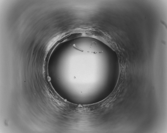 X0000102490340200808151501