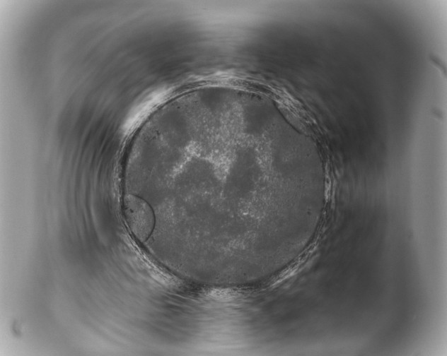 X0000102490341200808151501