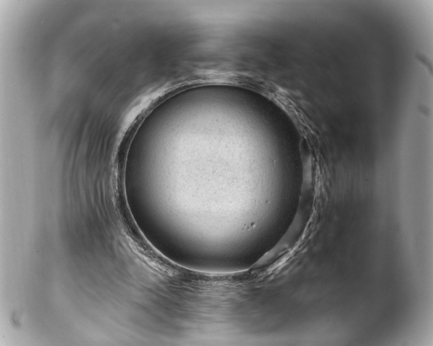 X0000102490342200808151501