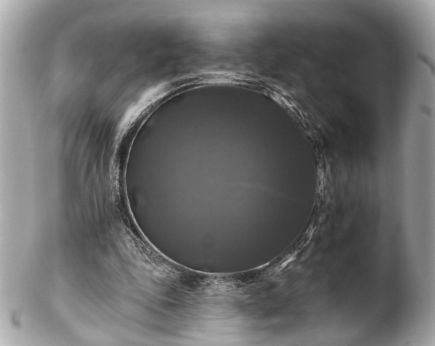 X0000102490343200808151501