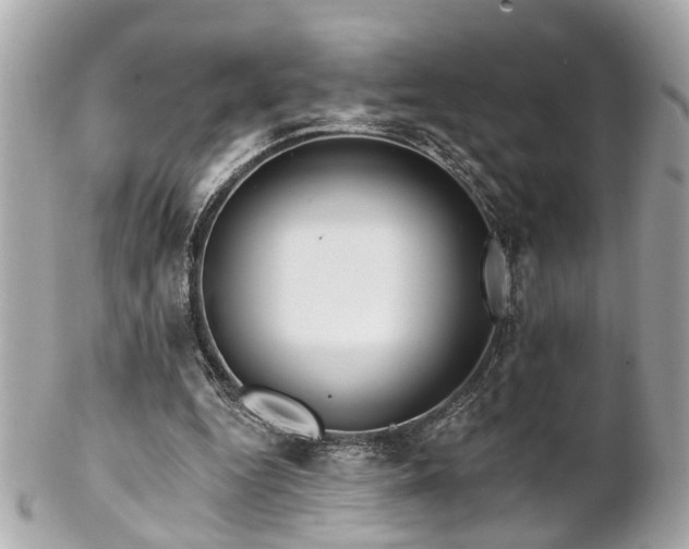 X0000102490344200808151501