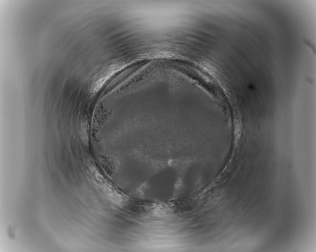 X0000102490345200808151501