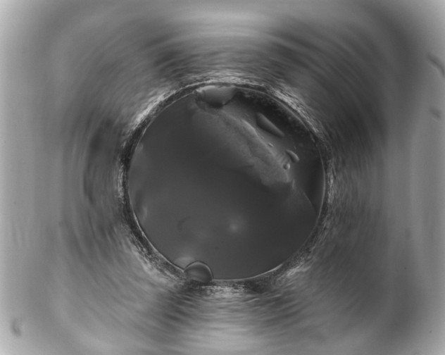 X0000102490347200808151501