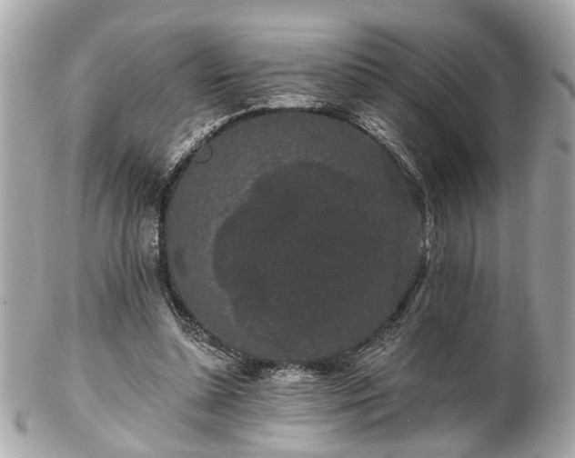 X0000102490348200808151501