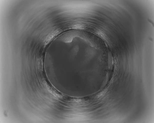 X0000102490349200808151502