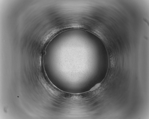 X0000102490350200808151502