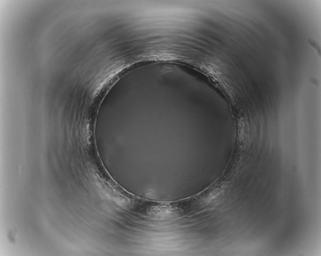 X0000102490351200808151502