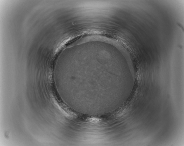 X0000102490352200808151502