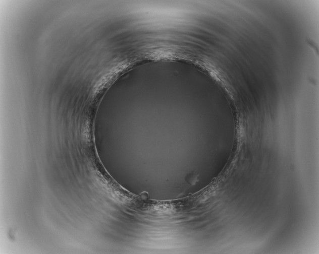 X0000102490353200808151502