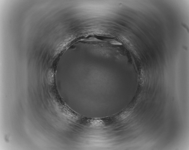 X0000102490355200808151502