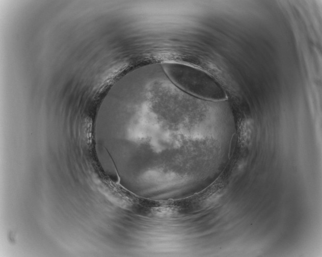 X0000102490356200808151502