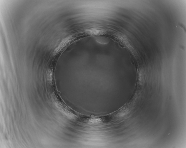 X0000102490357200808151502