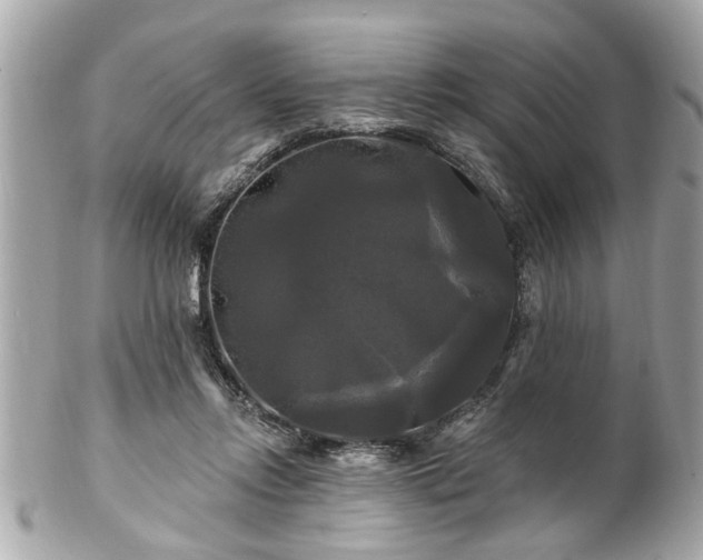 X0000102490358200808151502