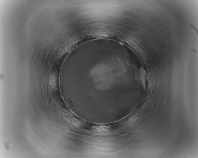 X0000102490359200808151502