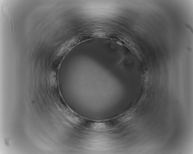 X0000102490361200808151502