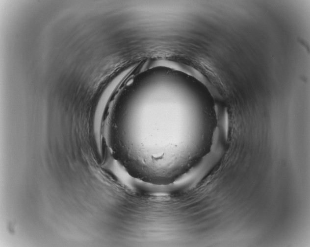 X0000102490362200808151502