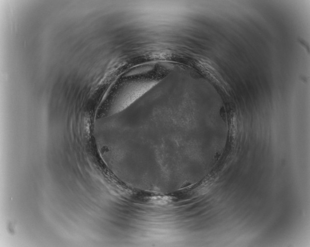 X0000102490363200808151502