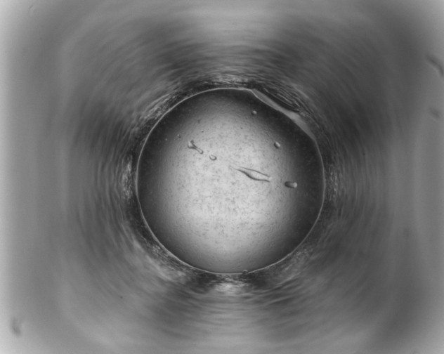 X0000102490364200808151502