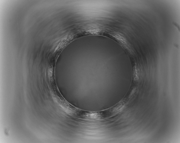 X0000102490365200808151502