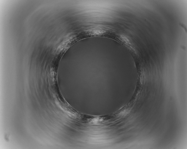 X0000102490366200808151502