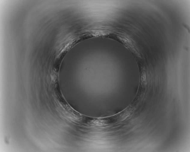 X0000102490367200808151502