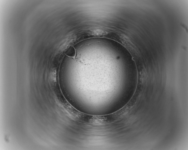 X0000102490368200808151502