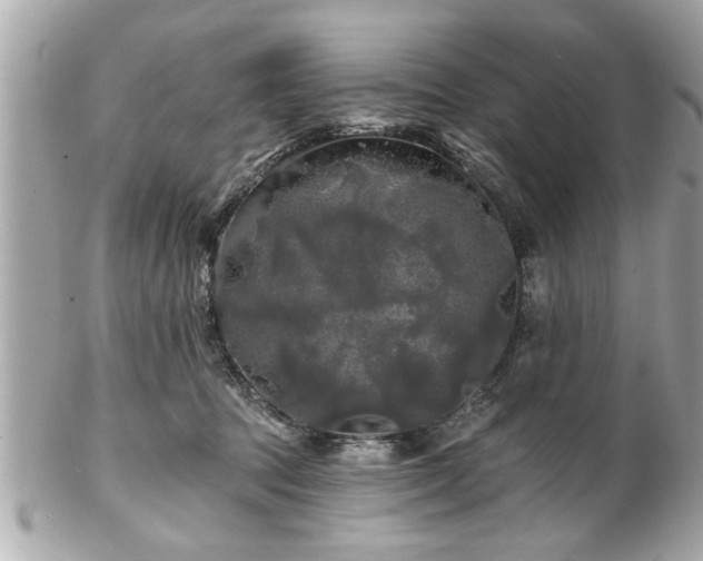 X0000102490369200808151502